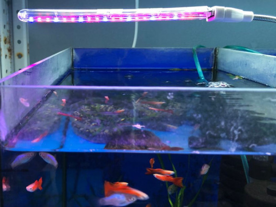 Фитолампа полного спектра с гибким держателем USB 14+7LCD