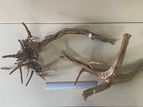 Коряга Азалия XXL