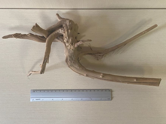 Коряга Азалия XXL