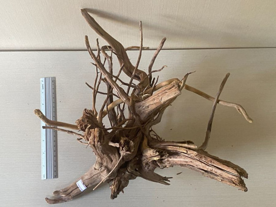 Коряга Азалия XXXL