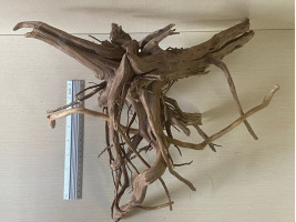 Коряга Азалия XXXL