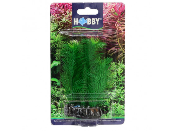 Искусственное растение Hobby Egeria 13см