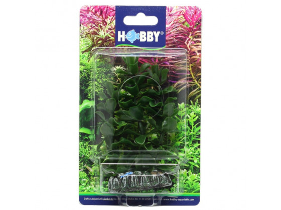 Искусственное растение Hobby Bacopa 13см