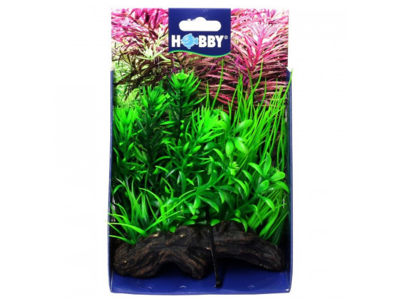 Штучна рослина Hobby Flora Root 2 S 17см