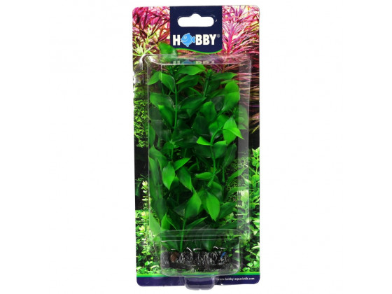 Искусственное растение Hobby Hygrophila 20см