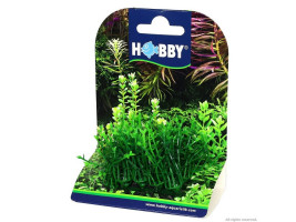 Искусственное растение Hobby Plant Pad 1 7x4, 5x5, 5см