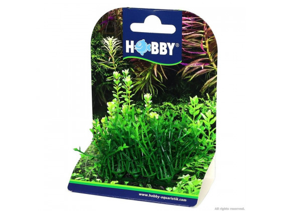 Штучна рослина Hobby Plant Pad 1 7x4,5x5,5см