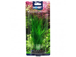 Штучна рослина Hobby Sagittaria 20см