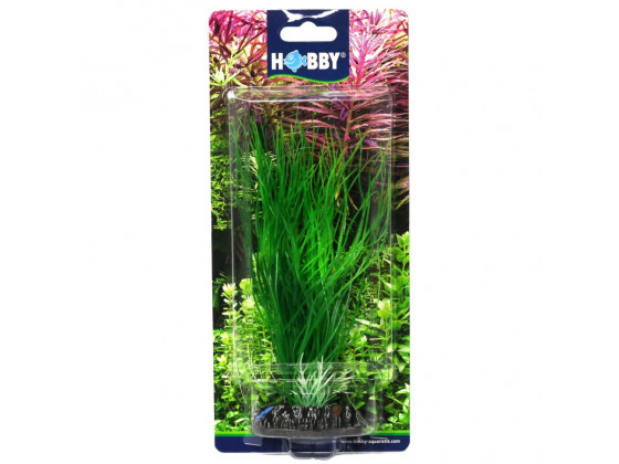 Искусственное растение Hobby Sagittaria 20см