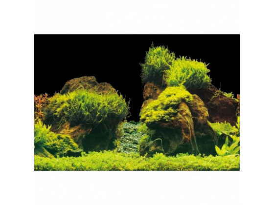 Аквариумный фон Aqua Nova Скалы/Растения 150x60см
