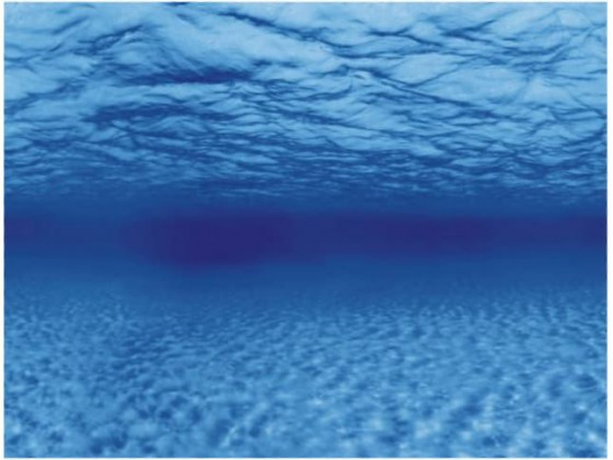Аквариумный задний фон 60x30см Голубое море/камни с корягами (TREE ROOTS/WATER S Aqua Nova )