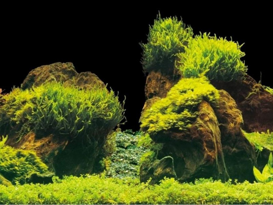 Аквариумный задний фон Aqua Nova Скалы/Растения 60x30см