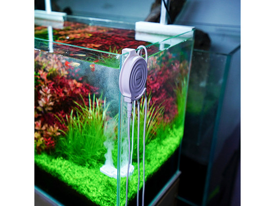 Антиводорослевий стерилізатор Chihiros Doctor Mate для акваріумів до 125 л з Bluetooth керуванням