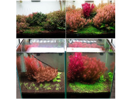 Грунт активный для аквариума Neo Soil Plant No CO2 3л Без надобности в CO₂