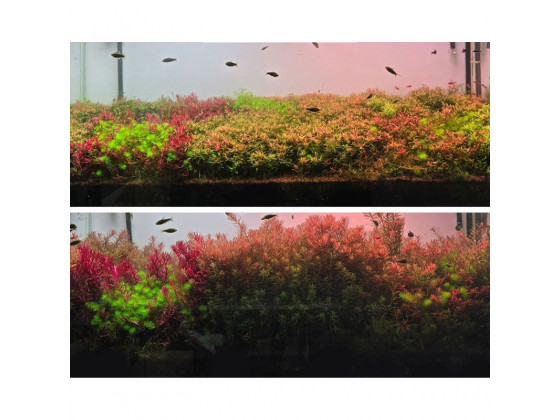 Грунт активный для аквариума Neo Soil Plant No CO2 RICH 8л Без надобности в CO₂