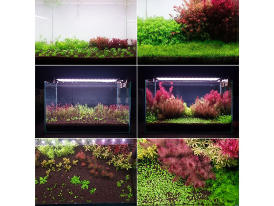 Грунт активный для аквариума Neo Soil Plant No CO2 RICH 8л Без надобности в CO₂