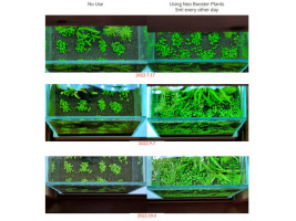 Добриво Neo Booster Plants FERTI 1 л для акваріумних рослин без CO₂ з амінокислотами