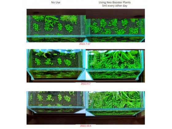Добриво Neo Booster Plants FERTI 300 мл для акваріумних рослин без CO₂ з амінокислотами
