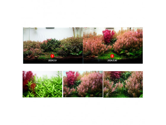 Добриво для акваріумних рослин Neo Fluid NoCO2 300 мл без подачі CO₂ з мікро- і макроелементами