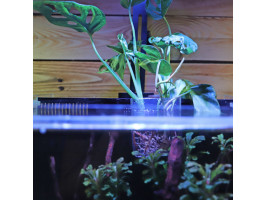 Контейнер для выращивания растений в аквариуме Hobby Plant basket 8×9×8см