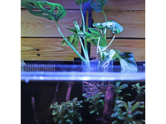 Контейнер для выращивания растений в аквариуме Hobby Plant basket 8×9×8см