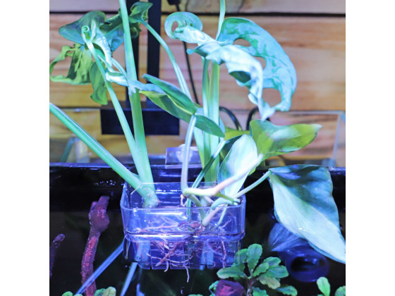 Контейнер для выращивания растений в аквариуме Hobby Plant basket 8×9×8см