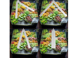 Світильник LED Kruger Meier VitaBeam V 23W для акваріумів 80-100 літрів з рослинами