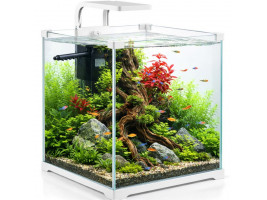 Аквариум комплект Kruger Meier Shrimp!One Pro 30 белый 15 л. 24x25x26.5 см