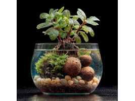 Питательные шарики Kruger Meier ProNature Ball 10 для аквариумных и террариумных растений