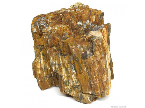 Декоративный природный камень Hobby Petrified Wood L 2.2-4кг