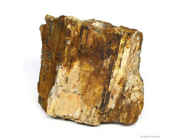 Декоративный природный камень Hobby Petrified Wood L 2.2-4кг