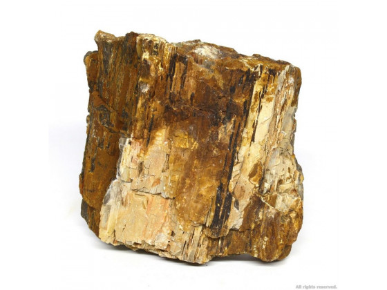 Декоративный природный камень Hobby Petrified Wood L 2.2-4кг