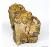 Декоративный природный камень Hobby Petrified Wood M 1-2.2кг