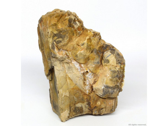 Декоративный природный камень Hobby Petrified Wood M 1-2.2кг