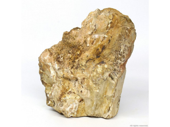 Декоративный природный камень Hobby Petrified Wood M 1-2.2кг