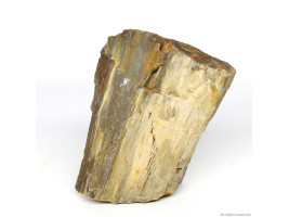 Декоративный камень Hobby Petrified Wood S 0.3-1.0кг