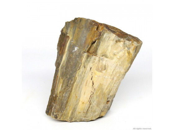 Декоративный камень Hobby Petrified Wood S 0.3-1.0кг