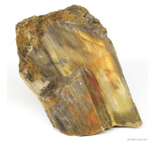 Декоративный камень Hobby Petrified Wood S 0.3-1.0кг