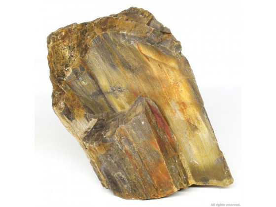 Декоративный камень Hobby Petrified Wood S 0.3-1.0кг