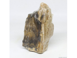 Декоративный камень Hobby Petrified Wood S 0.3-1.0кг