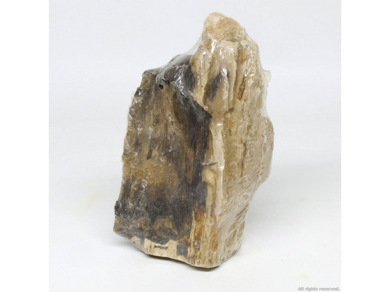 Декоративный камень Hobby Petrified Wood S 0.3-1.0кг