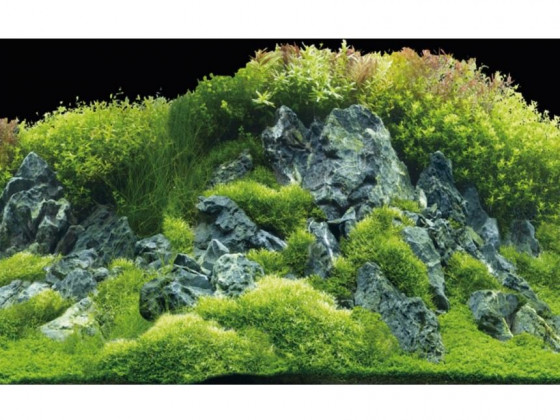 Задній фон Hobby Planted River/Green Rocks 100x50см 