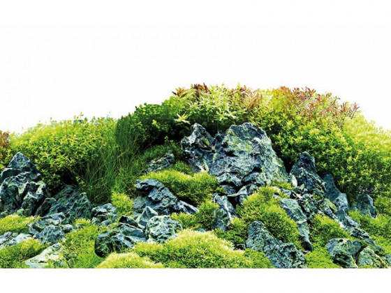 Задній фон Hobby Scaping Hill/Scaping Forest 120x50см