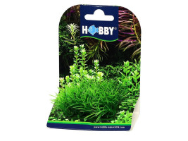 Искусственное растение Hobby Plant Pad 2 7x4,5x4,5см