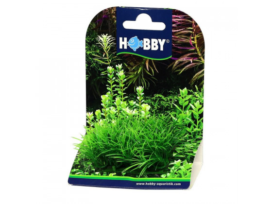 Искусственное растение Hobby Plant Pad 2 7x4,5x4,5см