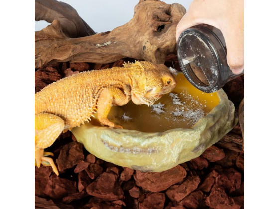 Витаминизатор, шейкер Repti-Zoo Vita-Calcium