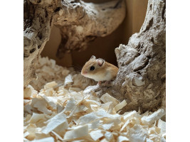 Натуральна стерильна підстилка Aventerra CELLULOZ Baby 5 л для молодих, хворих та чутливих тварин