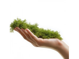Натуральний мох торф’яний Terrario ForestHeart Sphagnum Moss 100г для тераріумів та орхідей