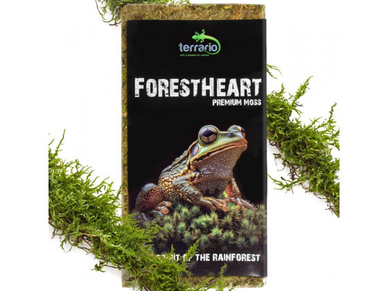 Натуральний мох торф’яний Terrario ForestHeart Sphagnum Moss 100г для тераріумів та орхідей