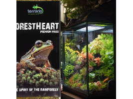 Натуральний мох торф’яний Terrario ForestHeart Sphagnum Moss 100г для тераріумів та орхідей